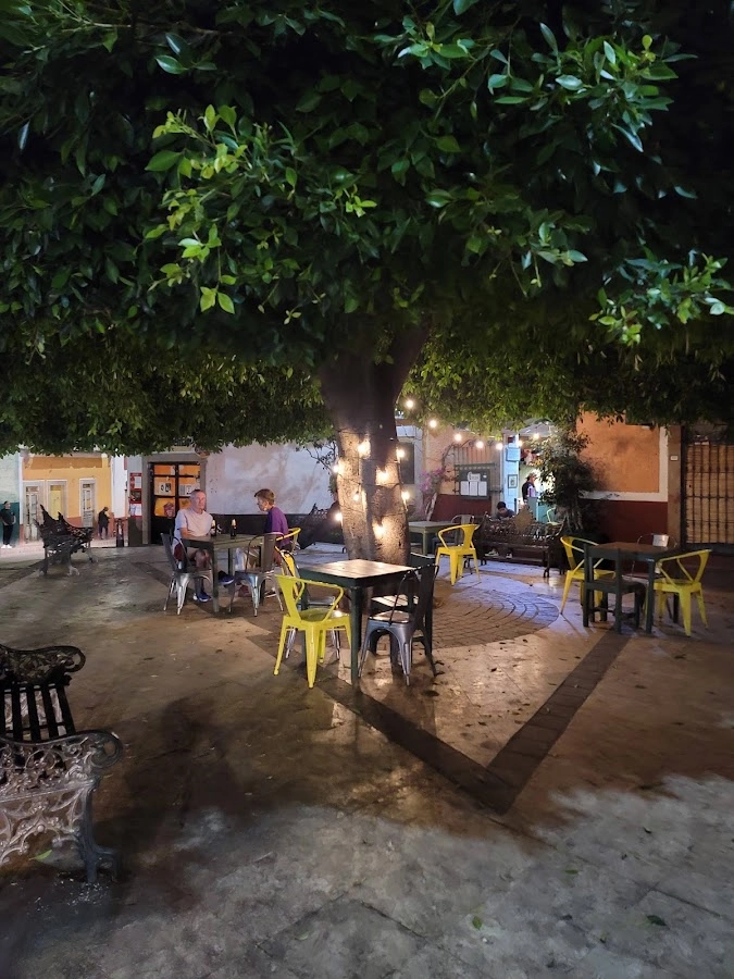 Taquería El Potro Loco Gto en Guanajuato