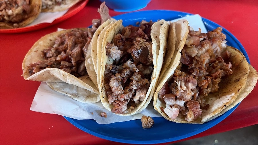 Tacos El Guero en Morelia