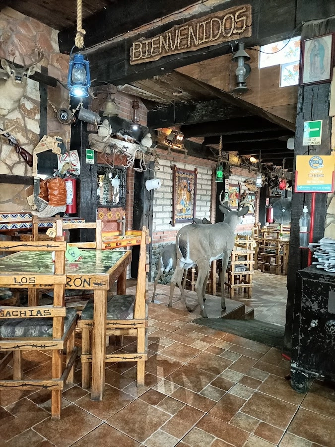 Tacos y Más Los Gachias en Saltillo