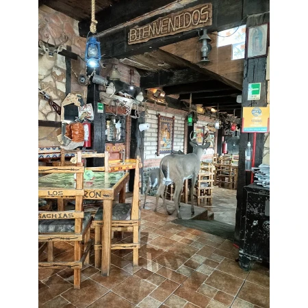 Tacos y Más Los Gachias en Saltillo